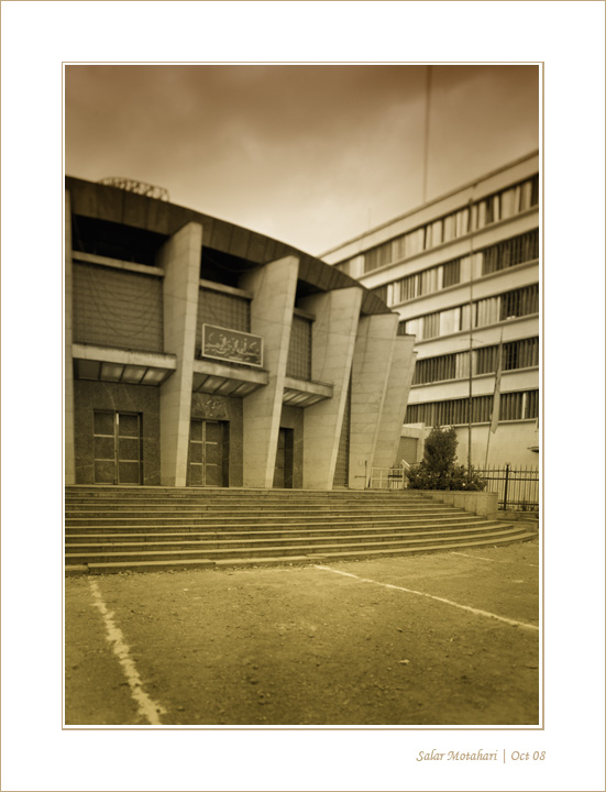 DP Blog